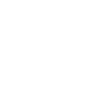 Méthodologie et informations sur les sondages réalisés