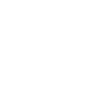 Observing the Evolution of Support for International Solidarity